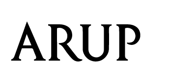 Sustainability & IT Consultant